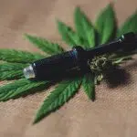 Pourquoi devriez-vous suivre des blogs sur la consommation du CBD ?