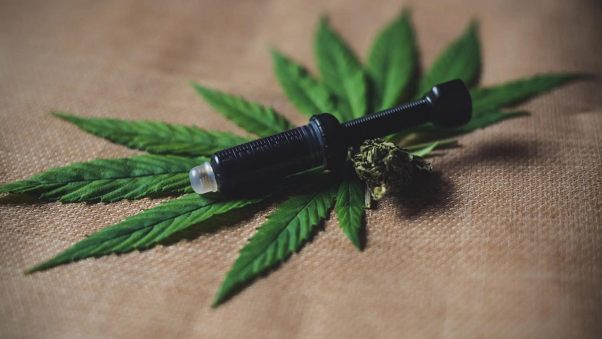 Pourquoi devriez-vous suivre des blogs sur la consommation du CBD ?