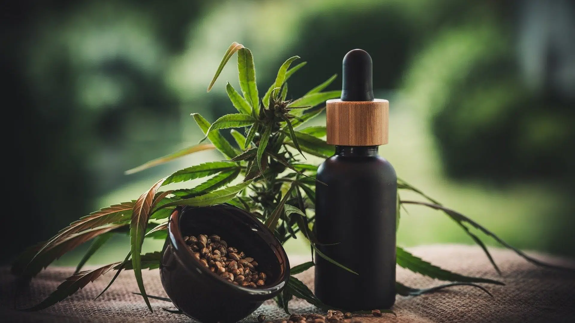Pourquoi ajouter du CBD à votre routine bien-être ?