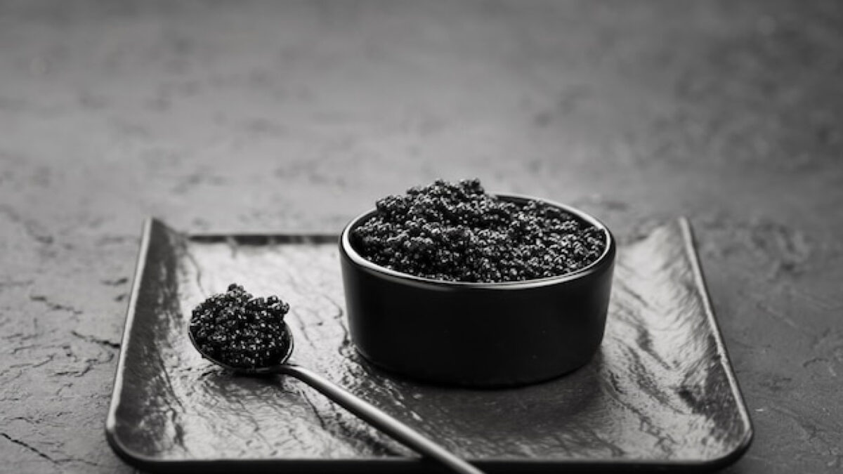 Quel type de Shilajit privilégier pour un regain d’énergie durable ?