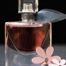 Quelles sont les trois senteurs des parfums qui attirent les hommes ?
