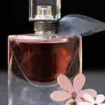 Quelles sont les trois senteurs des parfums qui attirent les hommes ?