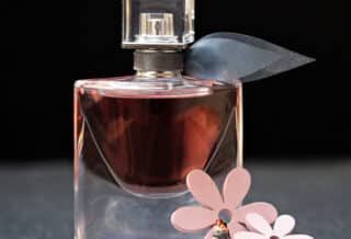 Quelles sont les trois senteurs des parfums qui attirent les hommes ?