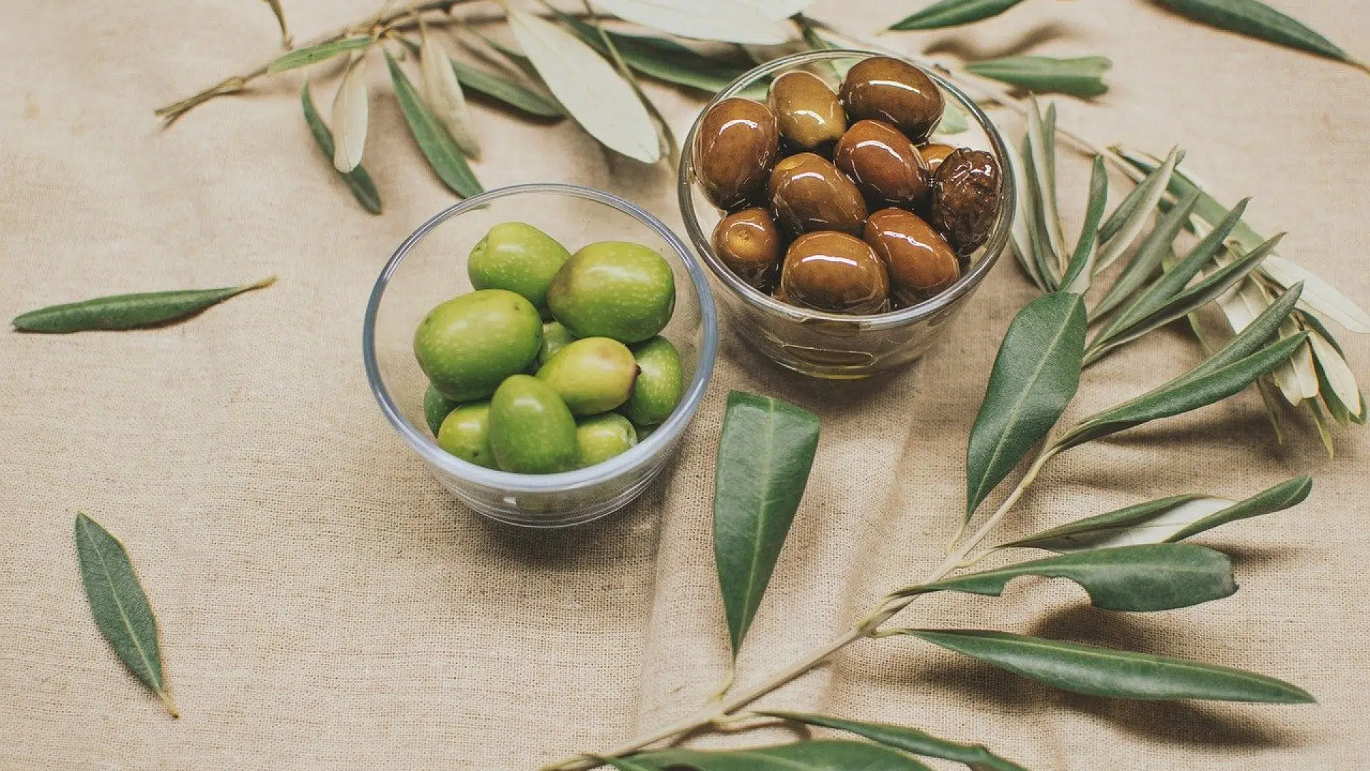 Quelles sont les vertus de l’olive ?