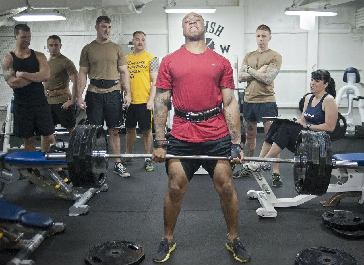 musculation